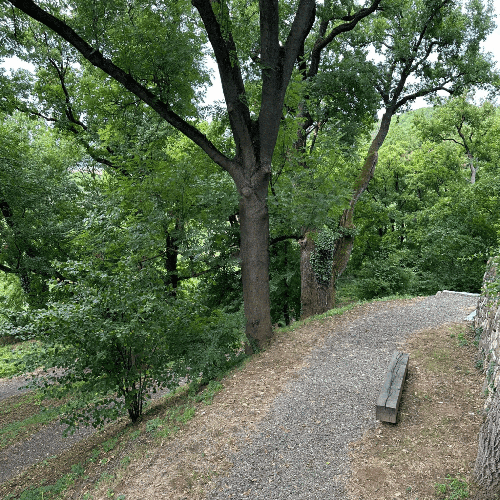 Benczúrfalva