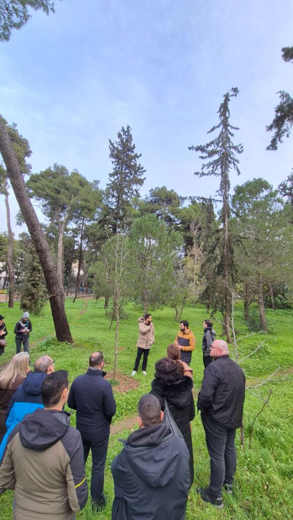 Athens Cooling Havens