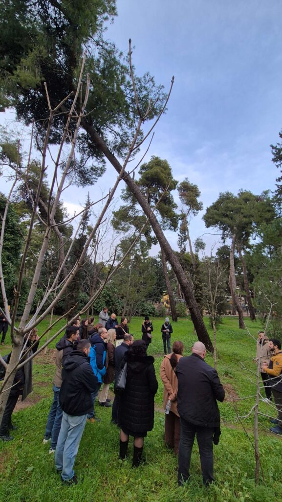 Athens Cooling Havens