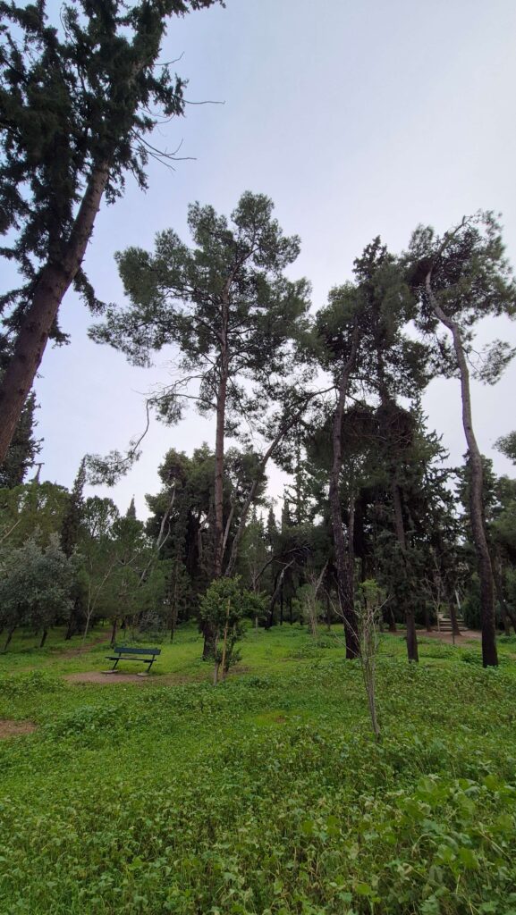 Athens Cooling Havens