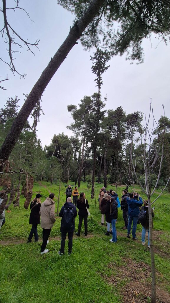 Athens Cooling Havens