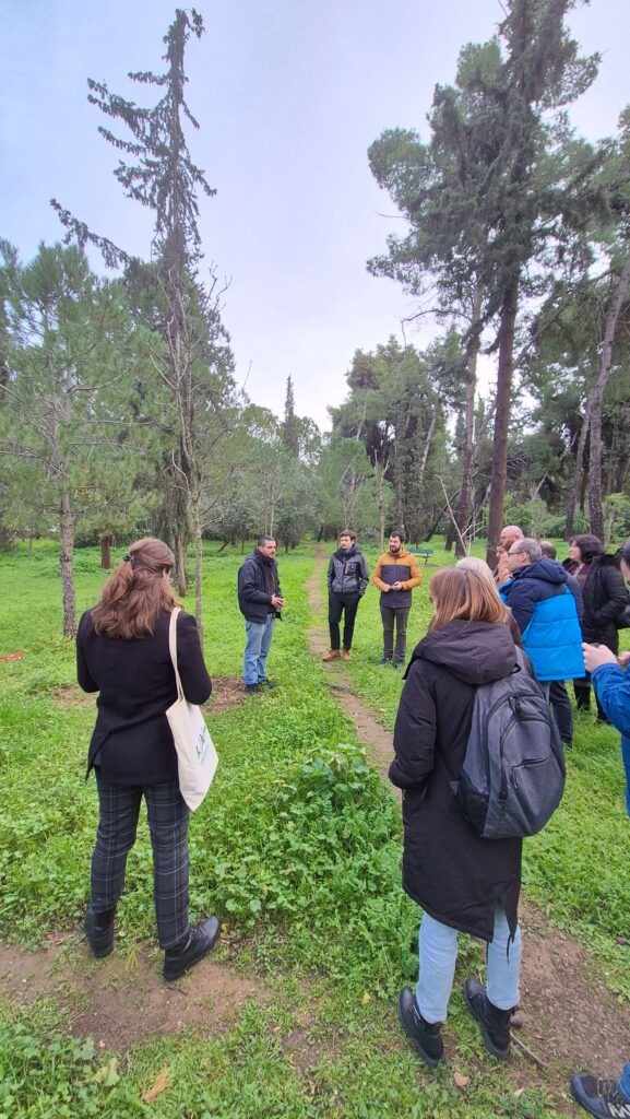 Athens Cooling Havens