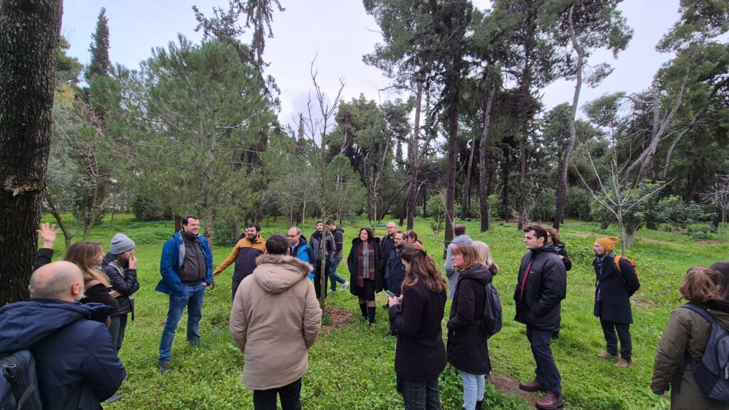 Athens Cooling Havens