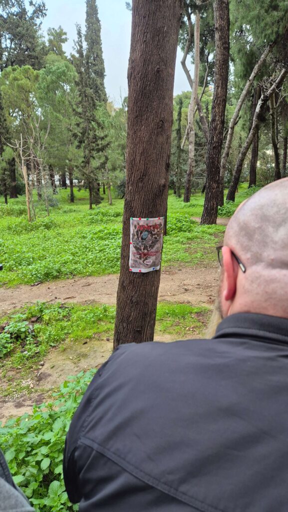 Athens Cooling Havens