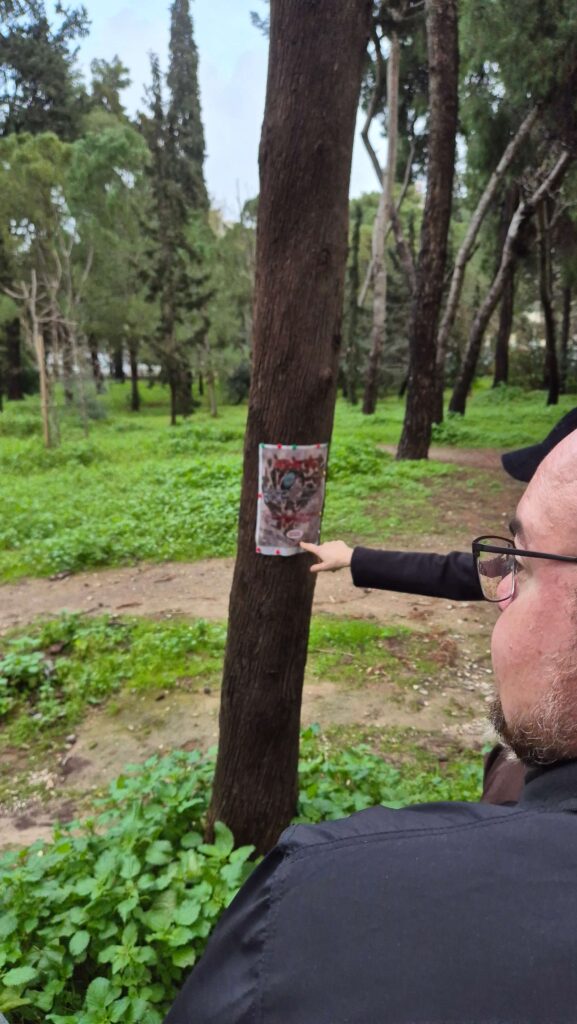 Athens Cooling Havens