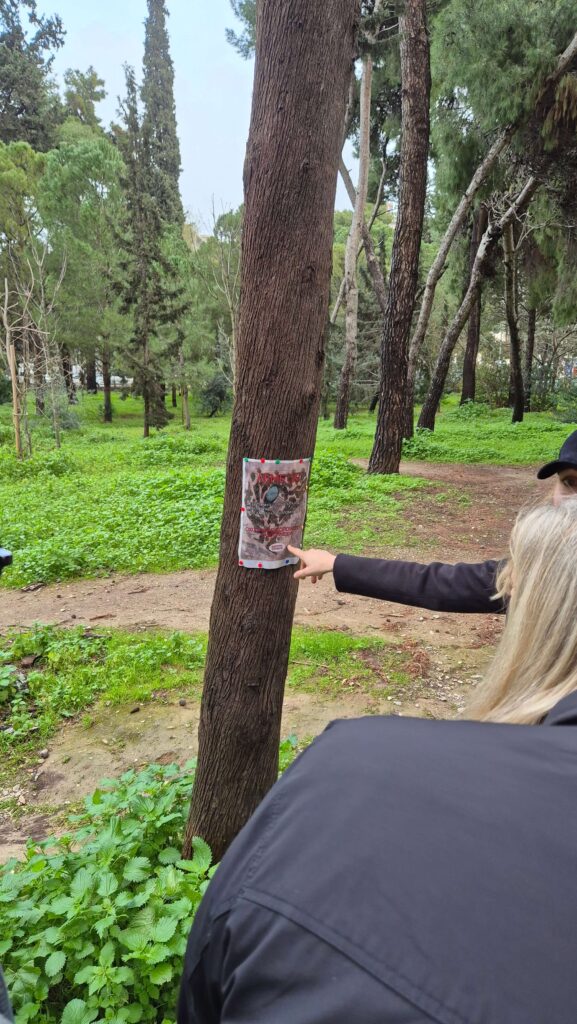 Athens Cooling Havens